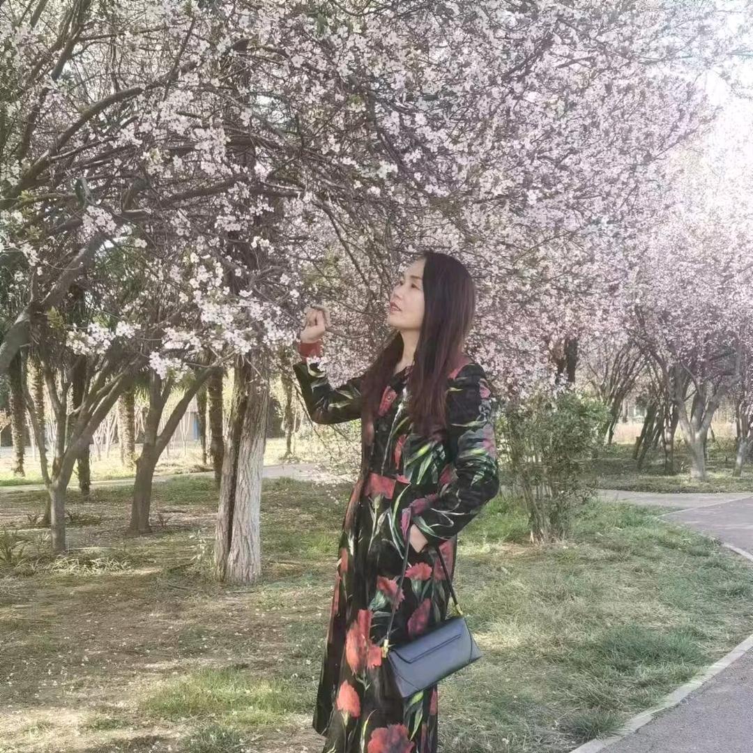 红舞鞋