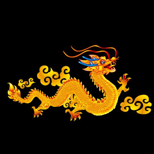 龙，🔥🔥🔥🔥