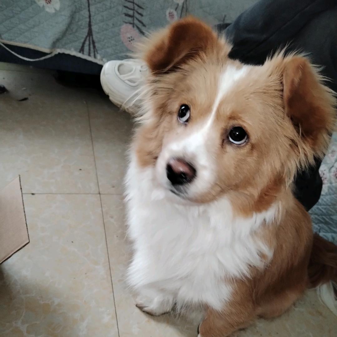 记忆