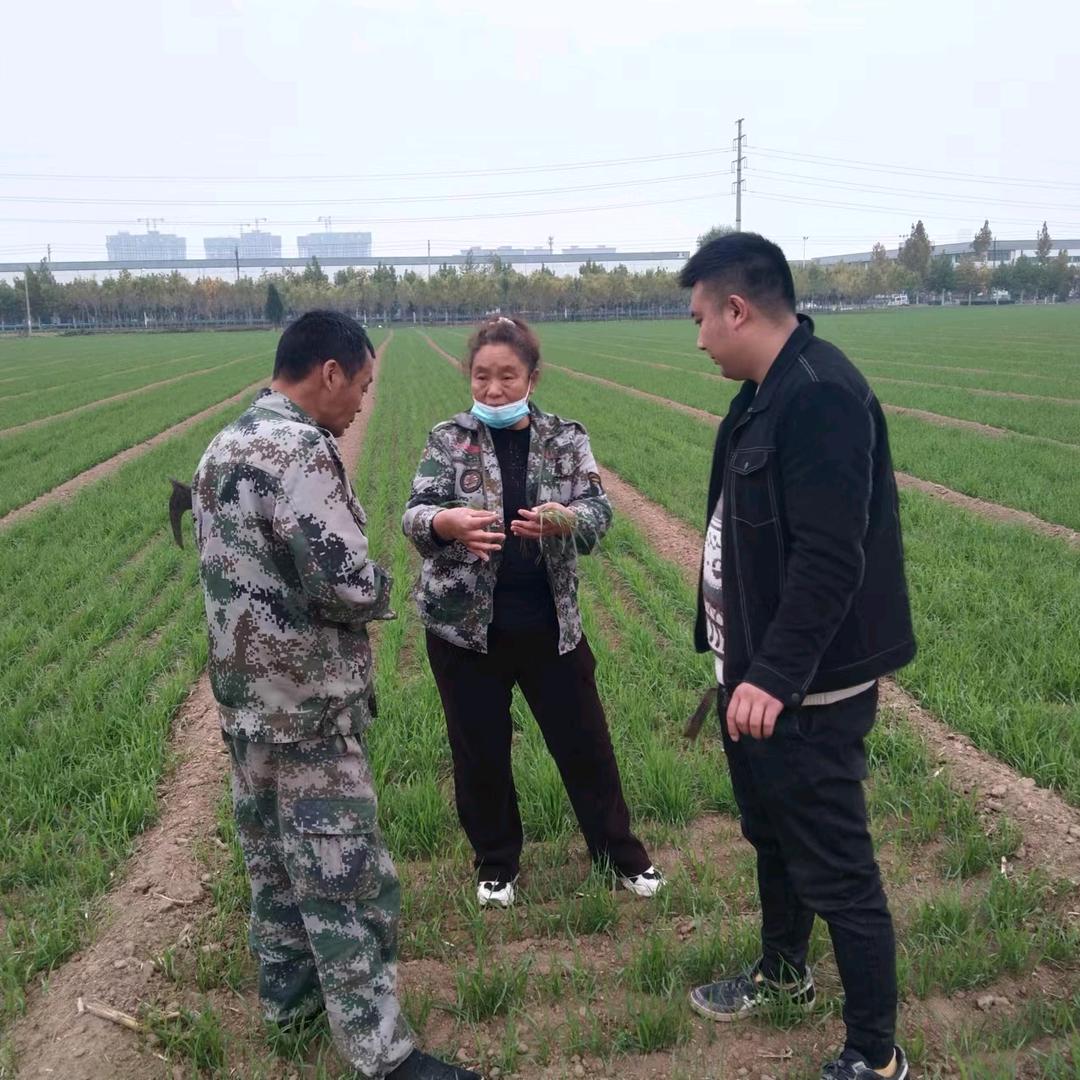 老唐聊农业