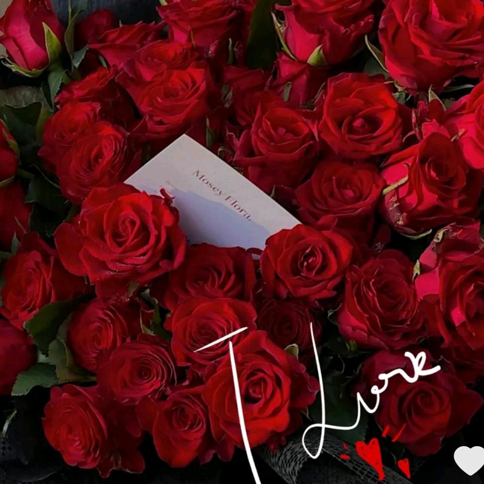 🌹꧁遇ℒℴѵℯ见¹³¹⁴꧂🌹