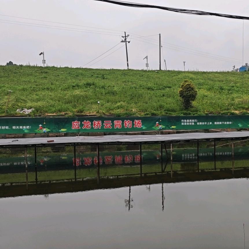 应龙桥云霄休闲钓场