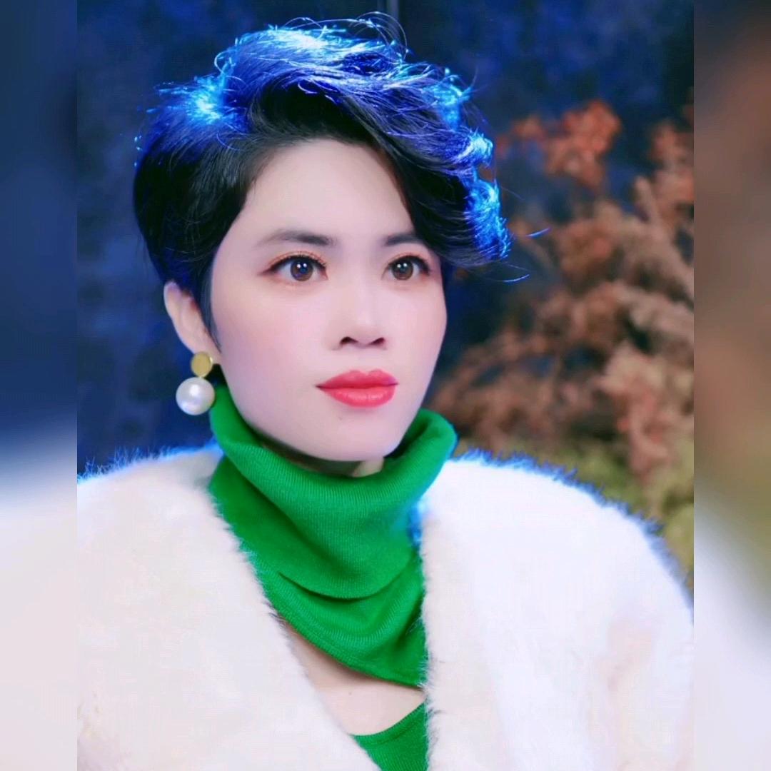 苑之情感世界
