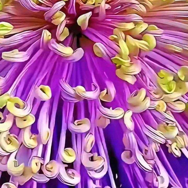 夜伴花香^0^