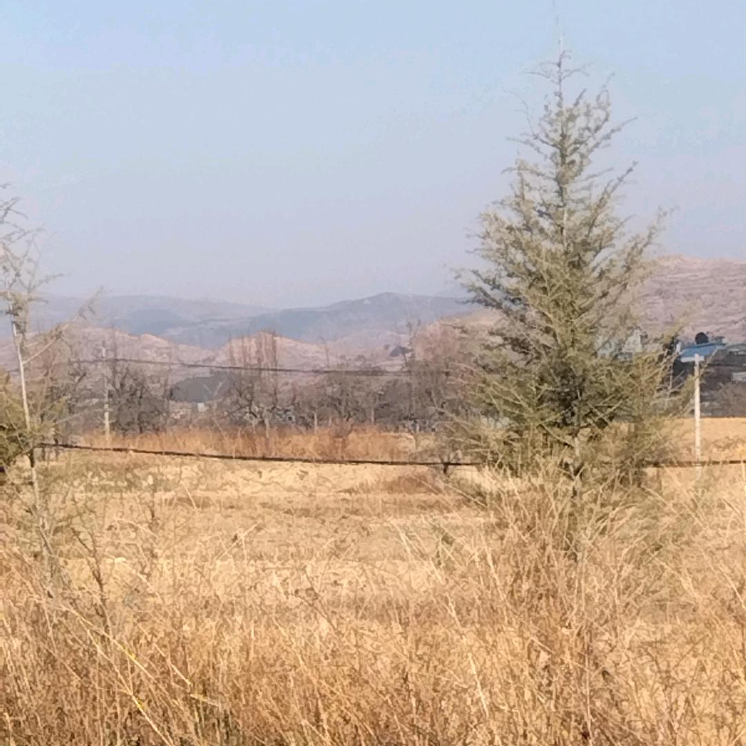 不特别の但唯一