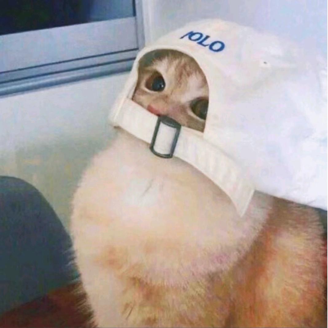 番茄咕噜圆又圆^o-o^