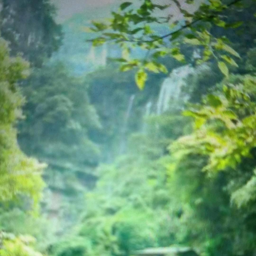 清清🍎