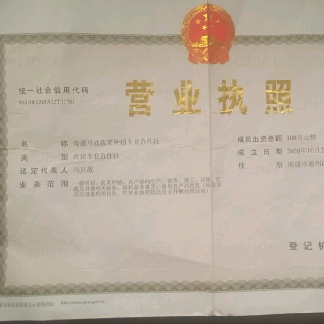 南通马战蔬菜种植专业合作社