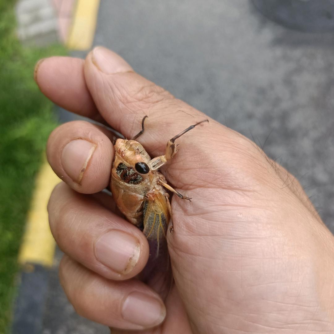 顺其自然的我！。