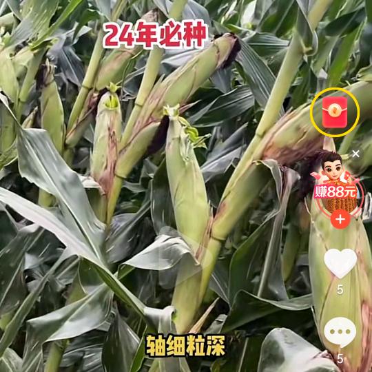 老刘讲农业