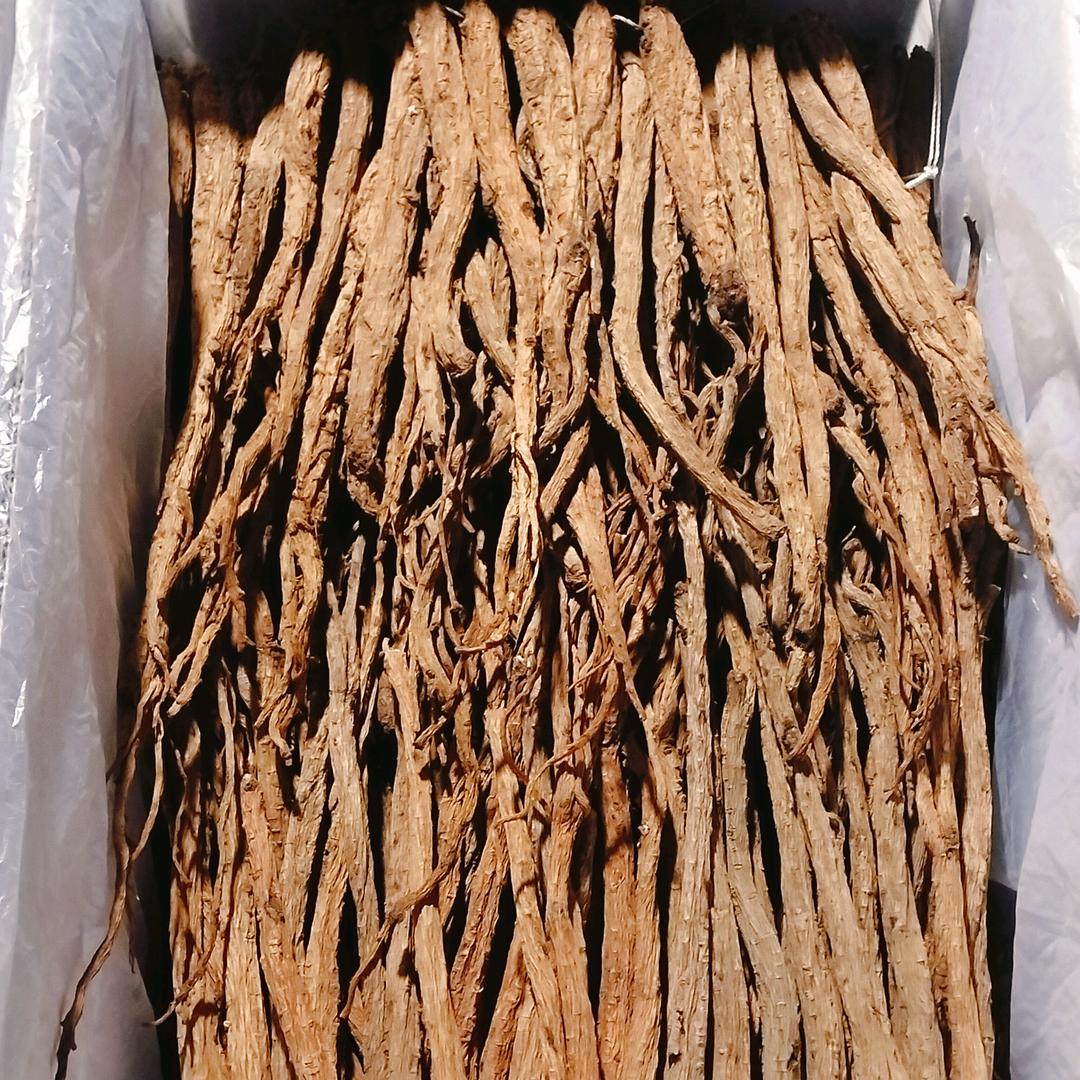 贵州党参厂家