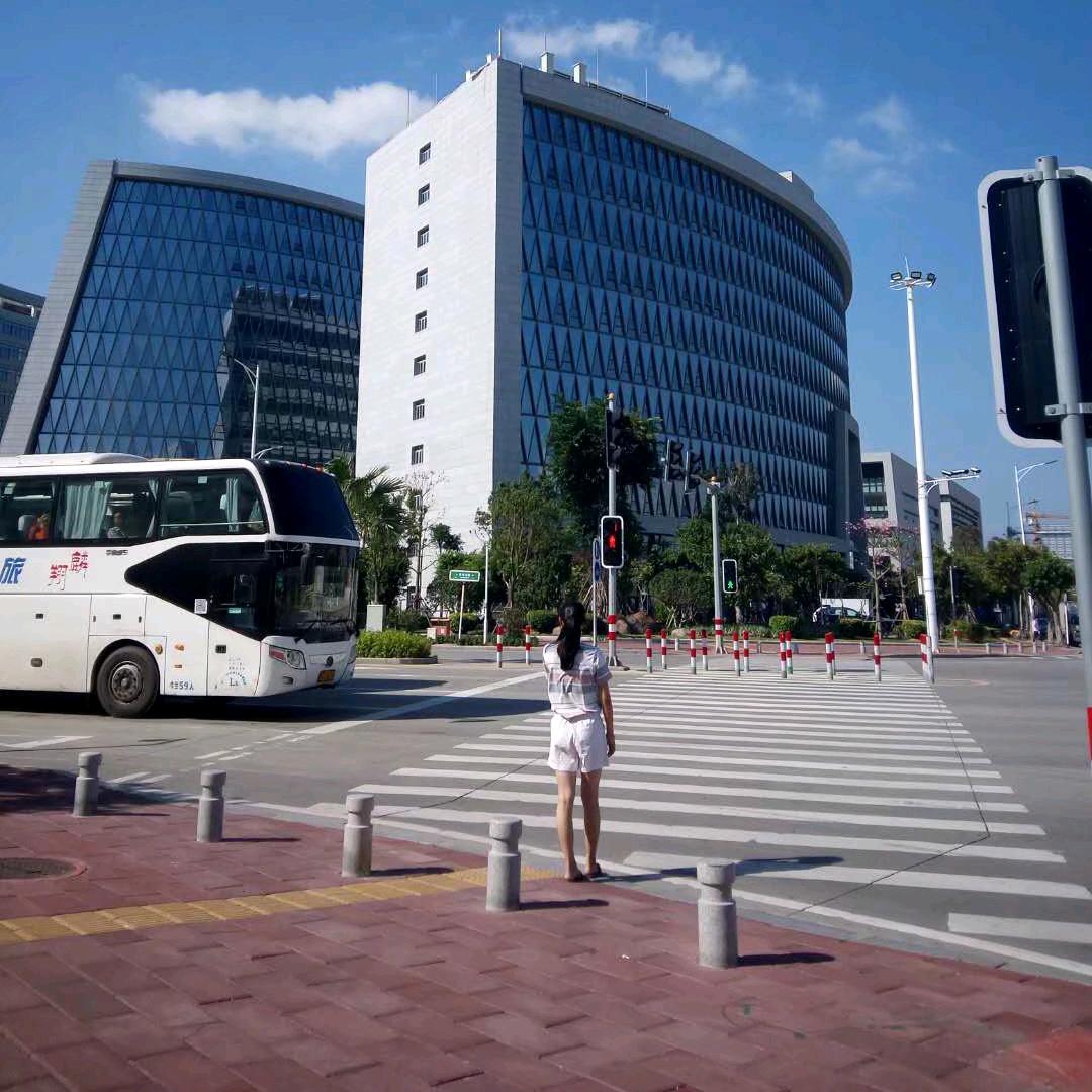 西伯利亚狼