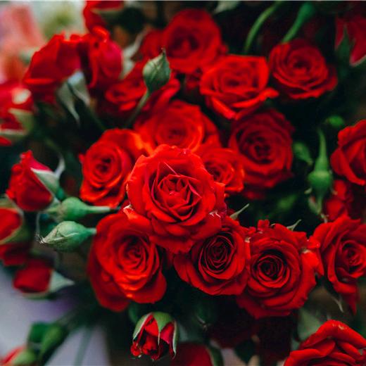 佳选平价超市好的