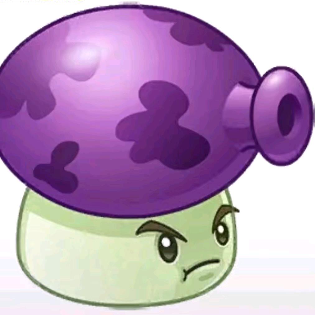 🟣 🟣 🟣 🟣 🟣