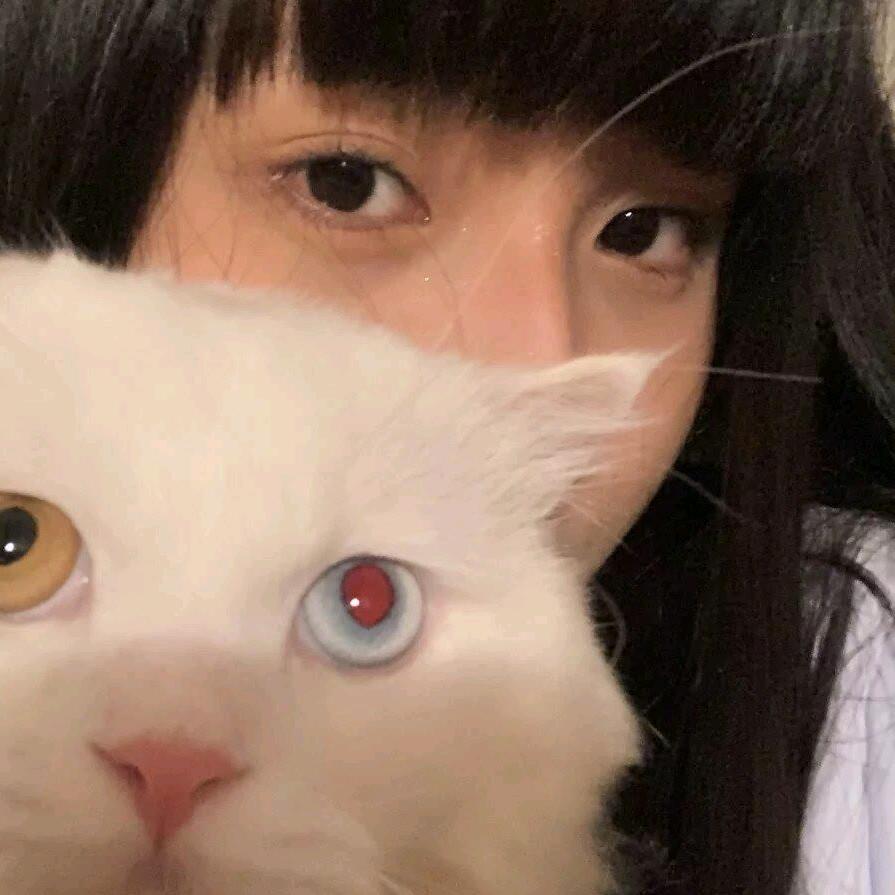 养乐哆哆