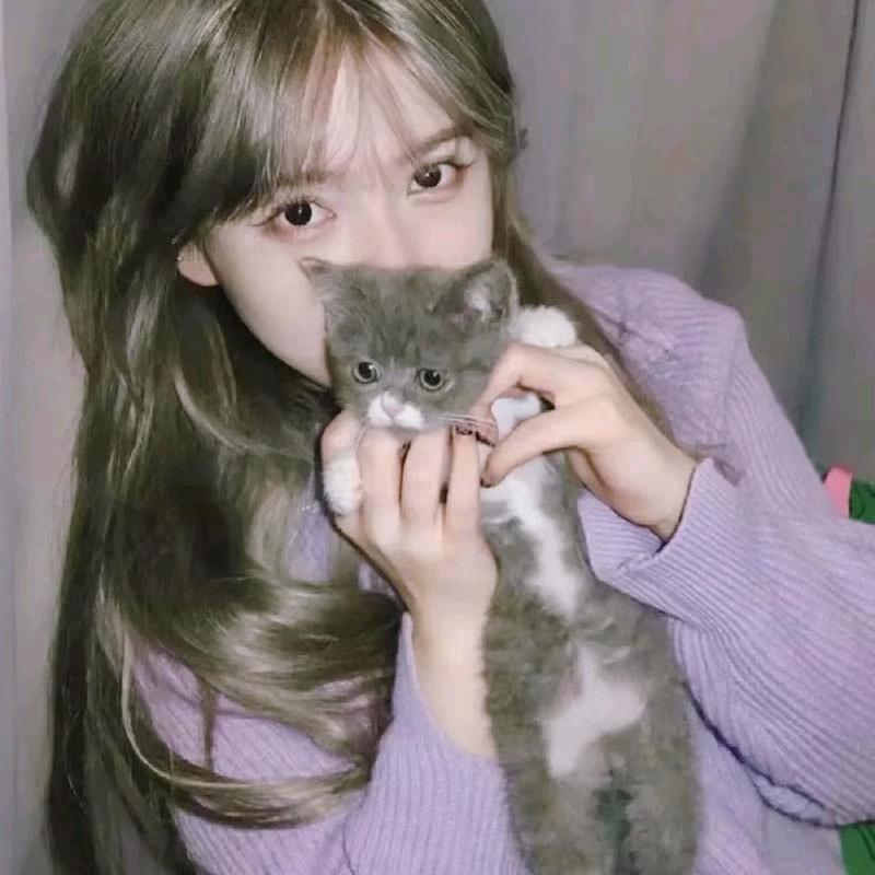 小野猫