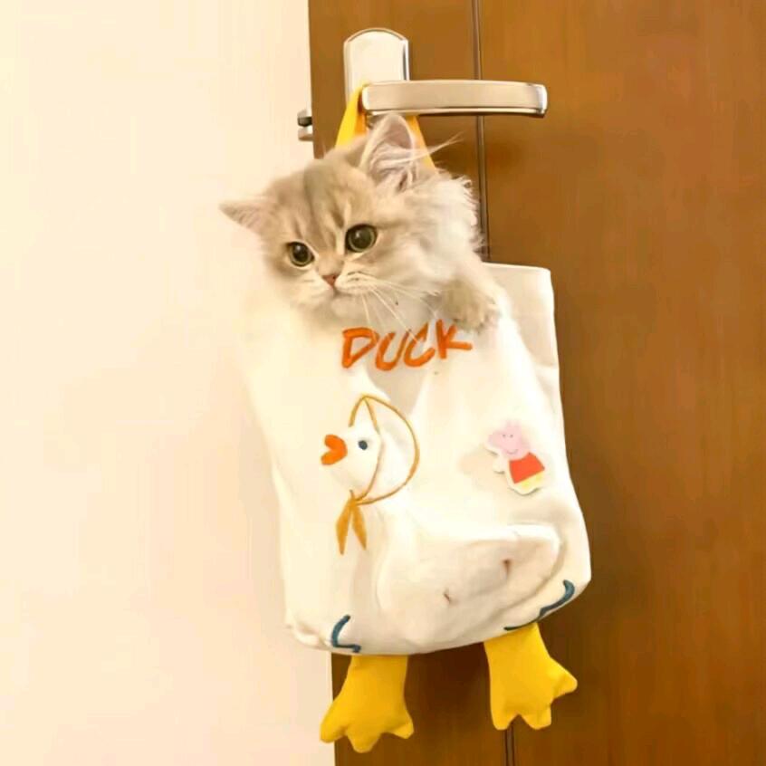 爱吃小洋芋🥔🥔