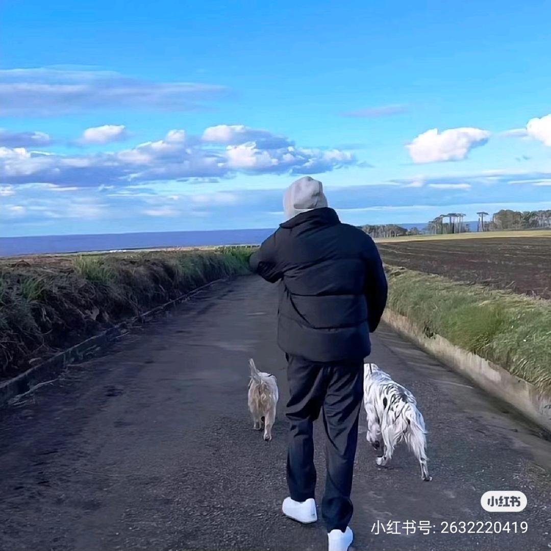 市井小程.