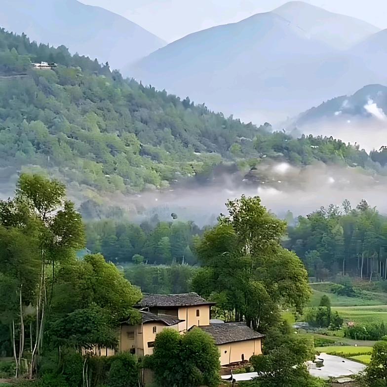 生生不息 亳