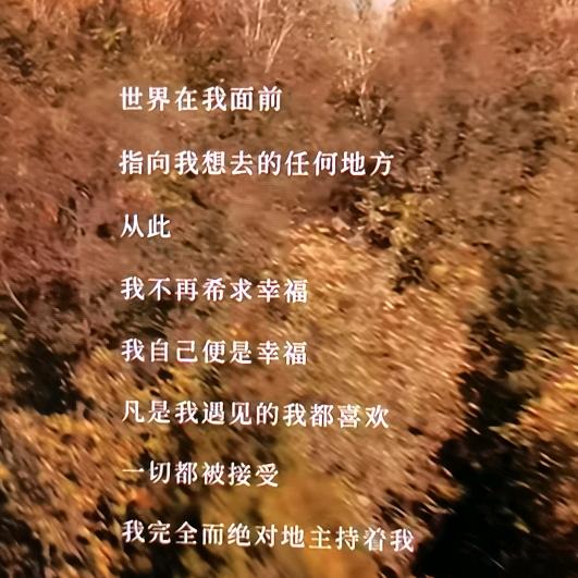 柠檬汁🍋