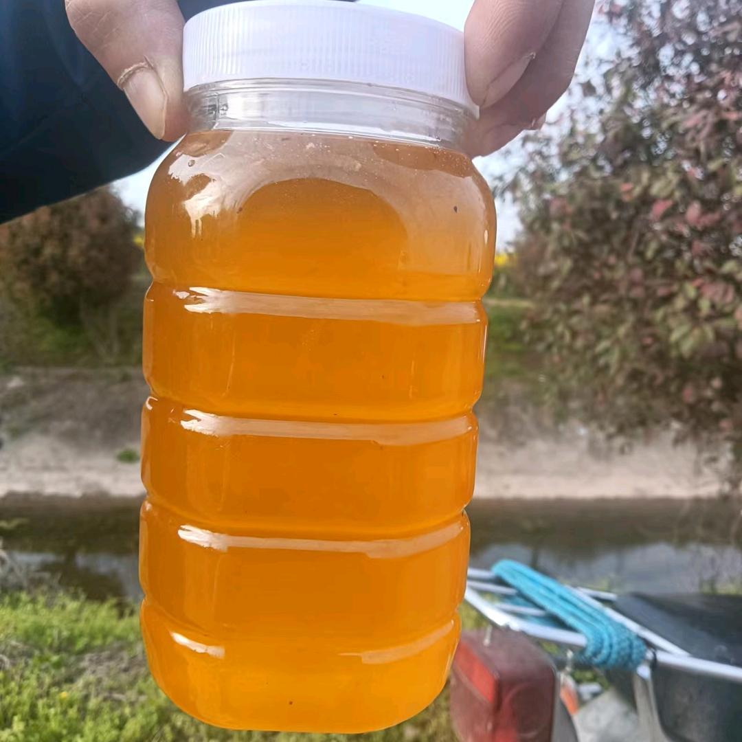 郭大爷蜂场