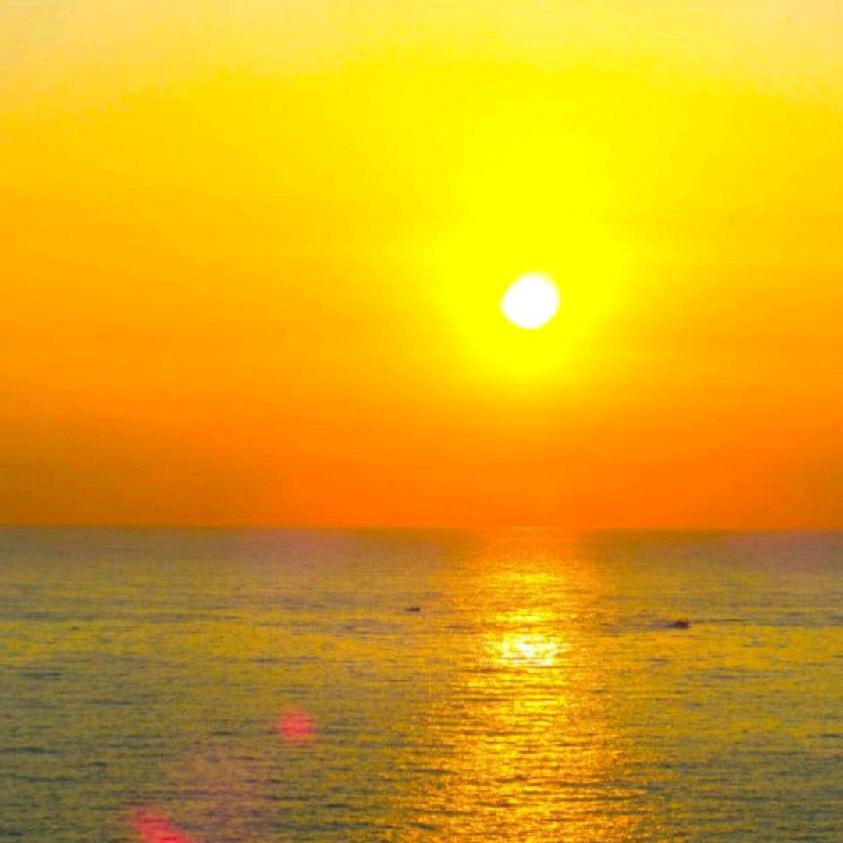 💖金💖阳💖光