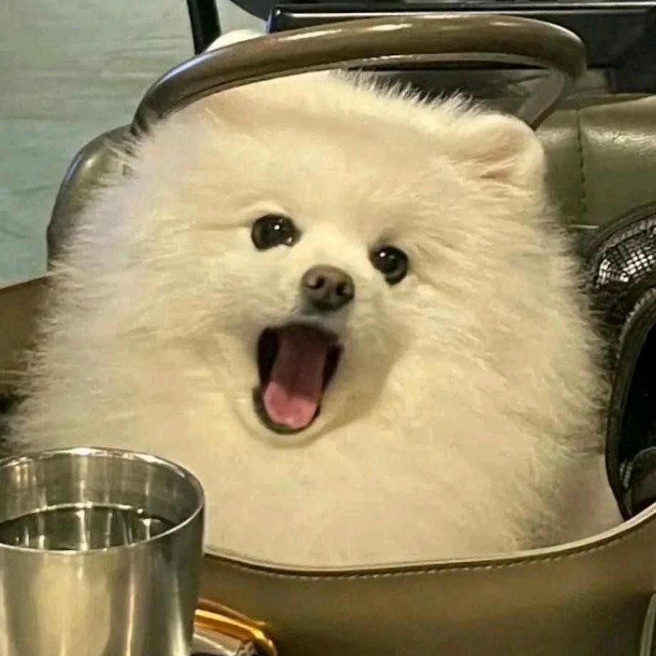 树风