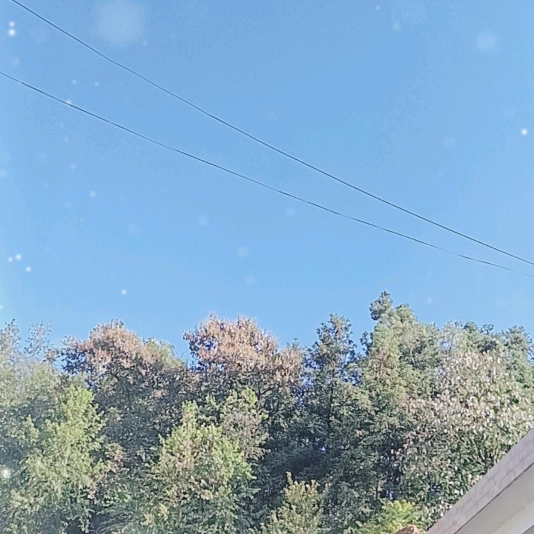 夏夏可爱吗