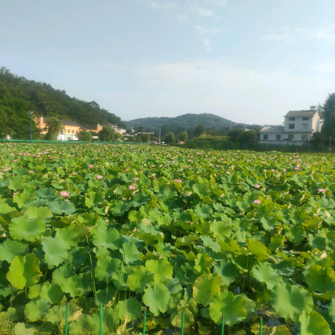🌈🌈相遇🌟是缘❤️✨