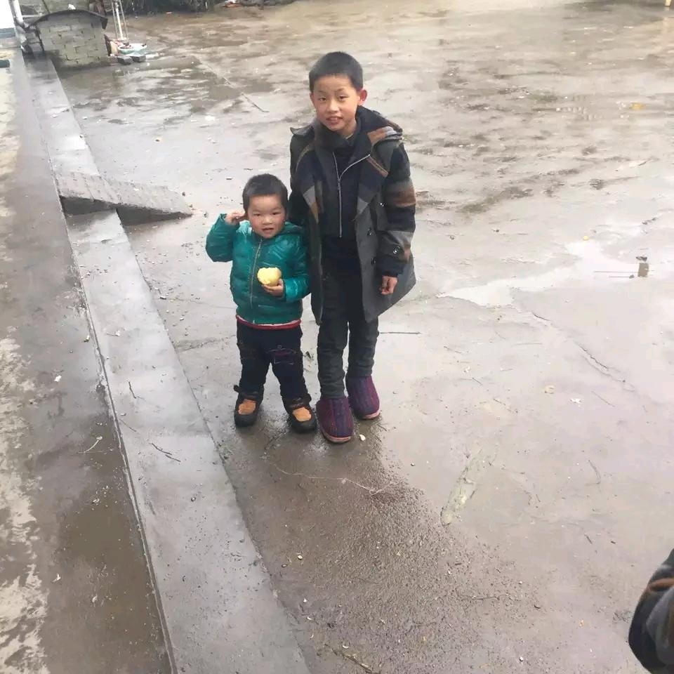 杨