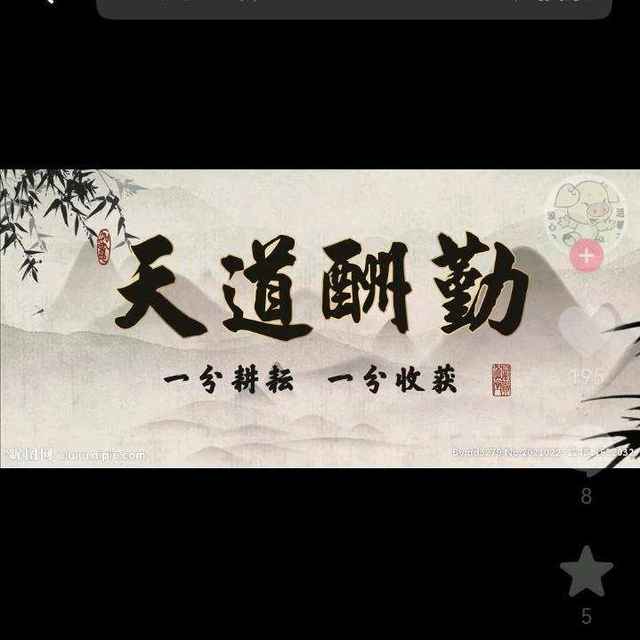 天天就是玩