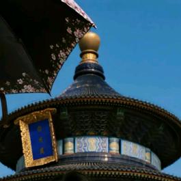 跃