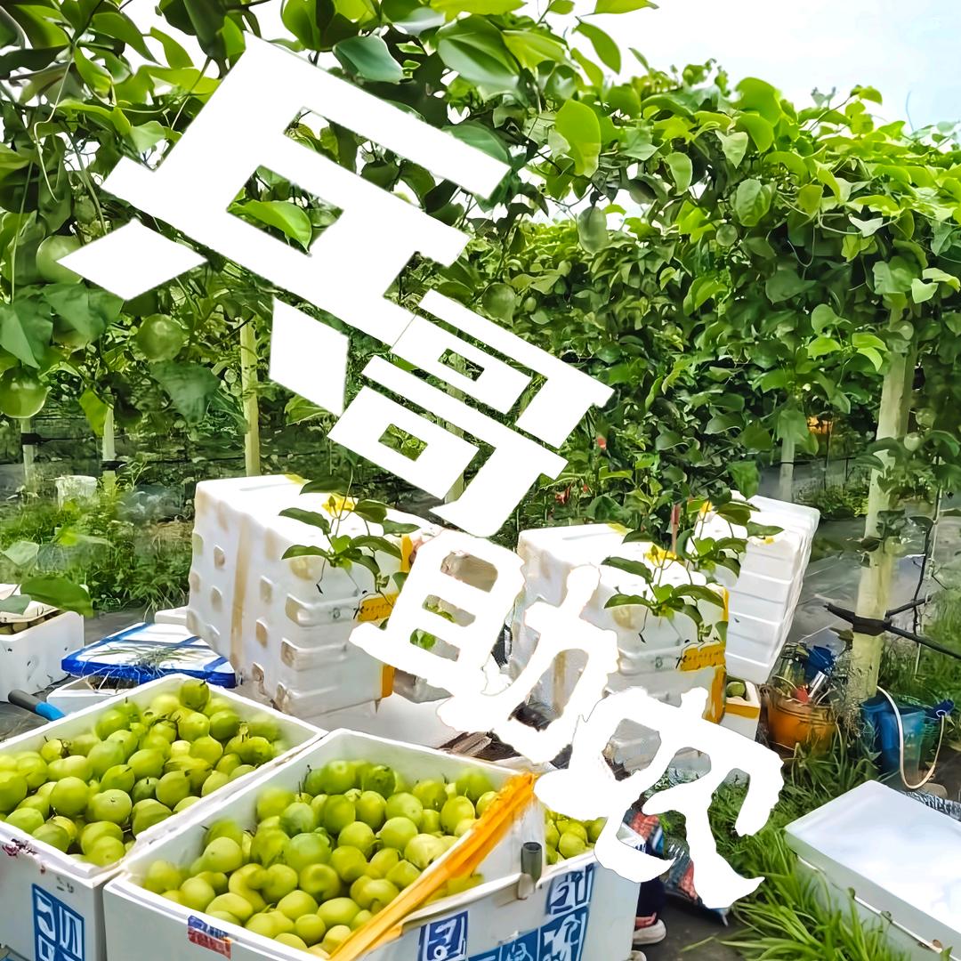 罗定兵哥助农行动