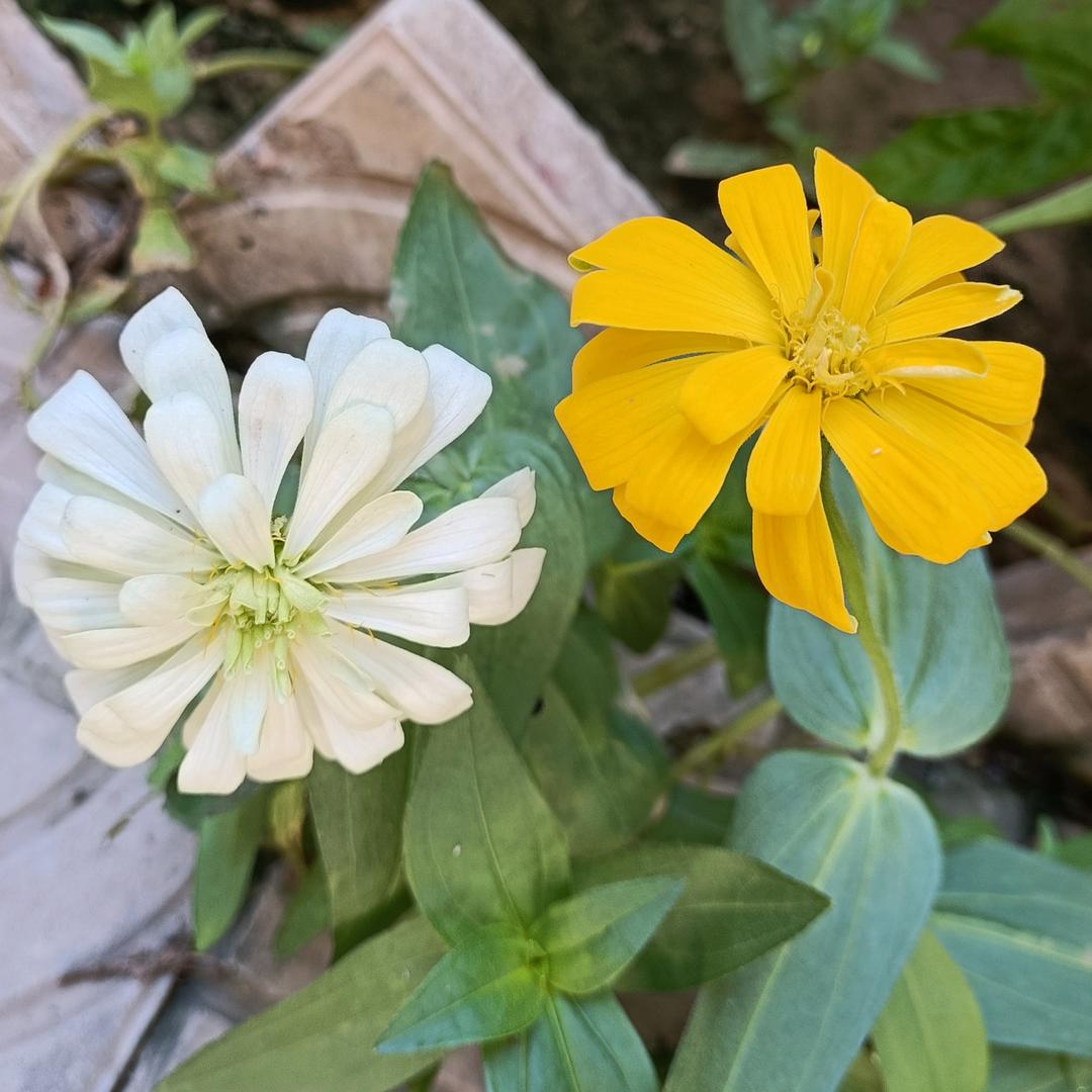 永远有多远…………