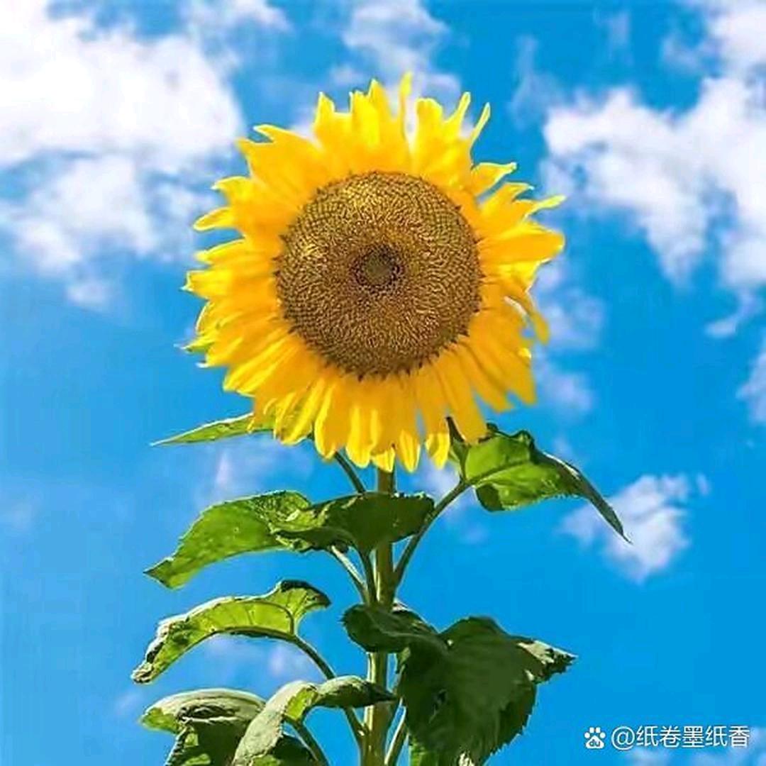 别让我们变成回忆1，