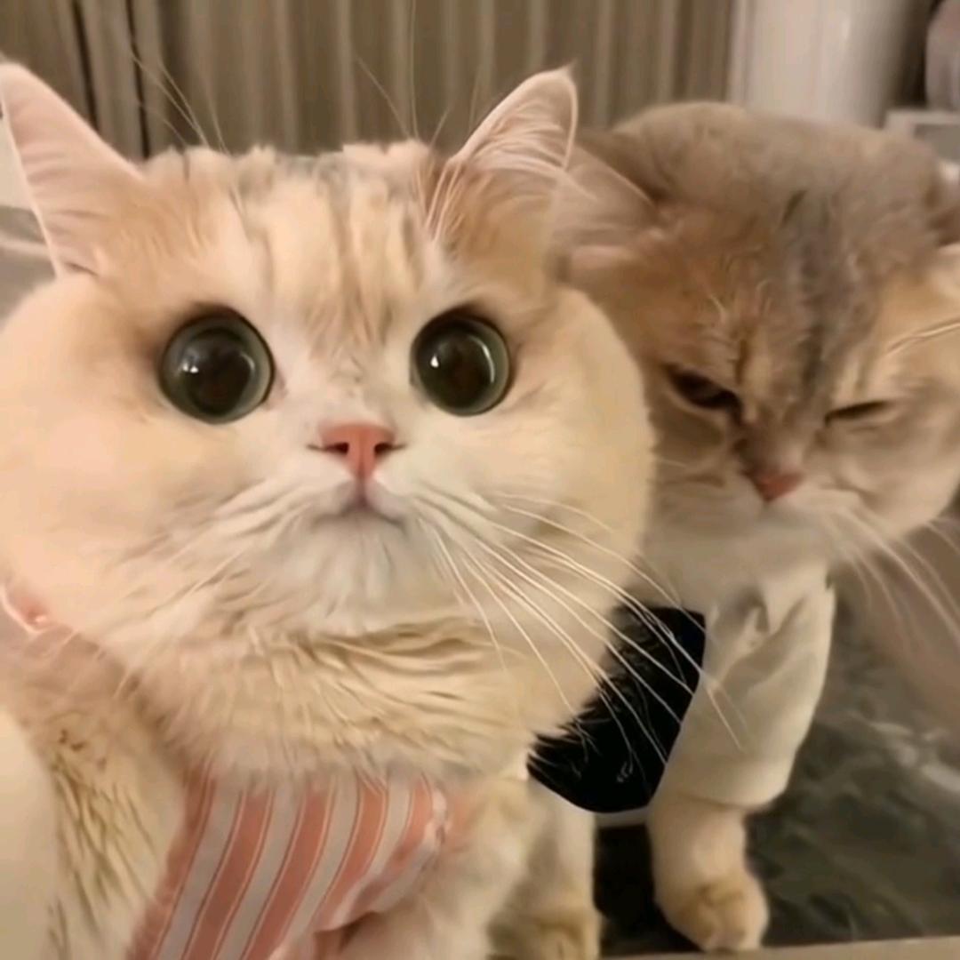 沉溺