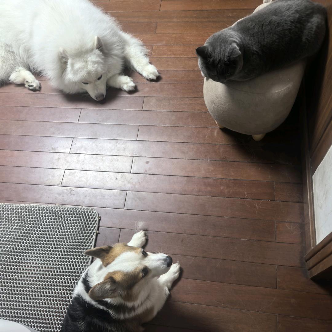 拥有500万dollar的男人