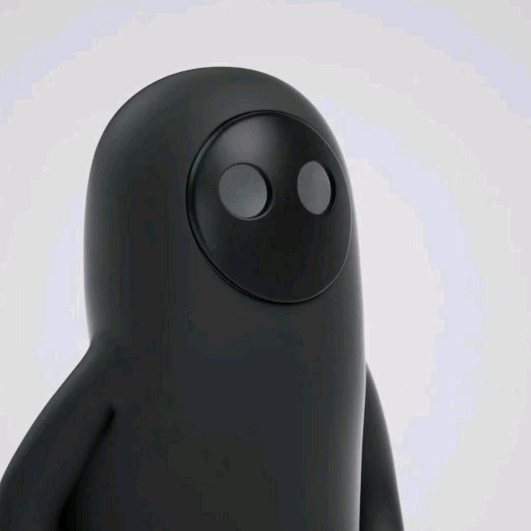 咸鱼头