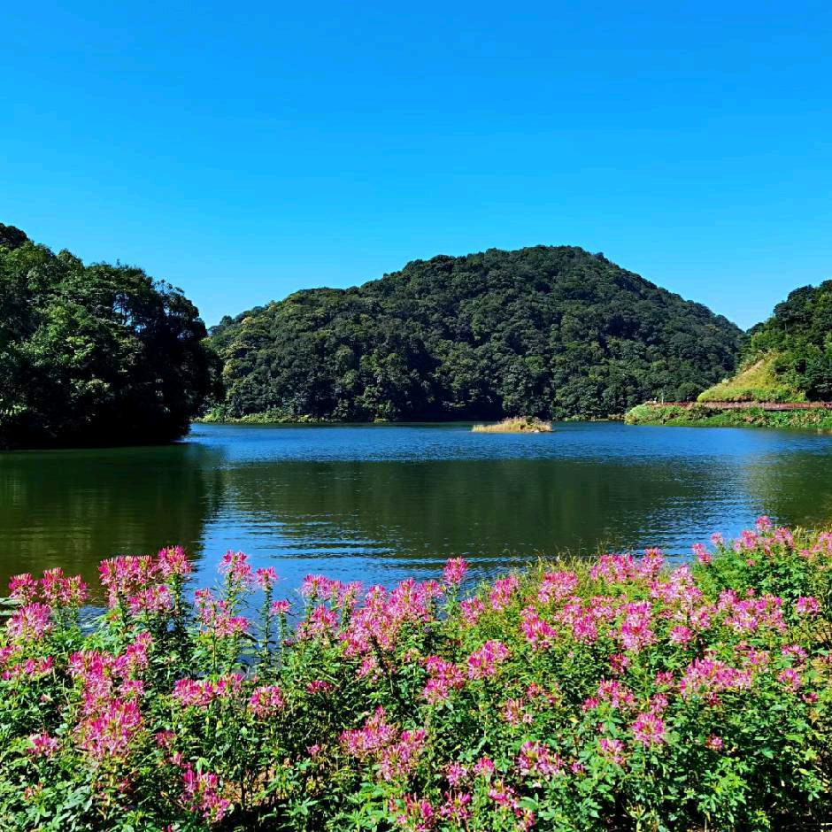 贵荣