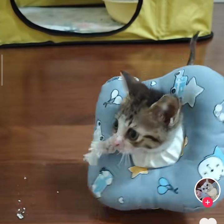 时尚潮流穿搭指南