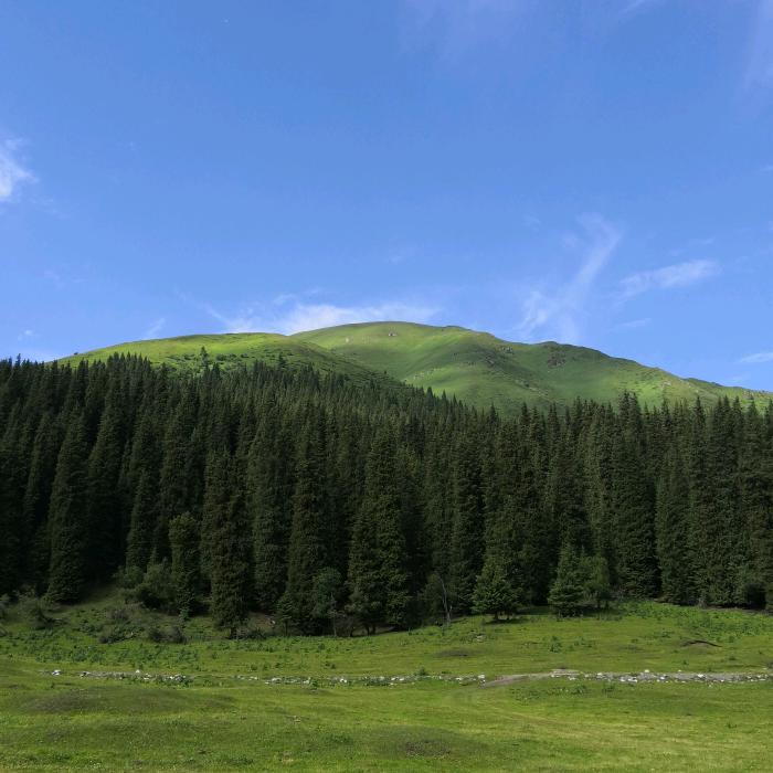 望云山