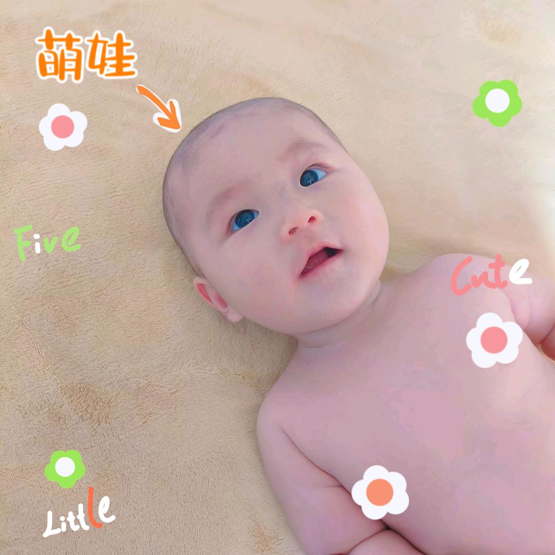 小葵🌻