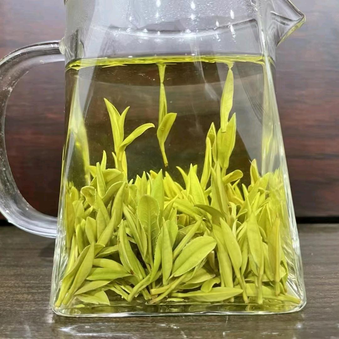 霍山茶王