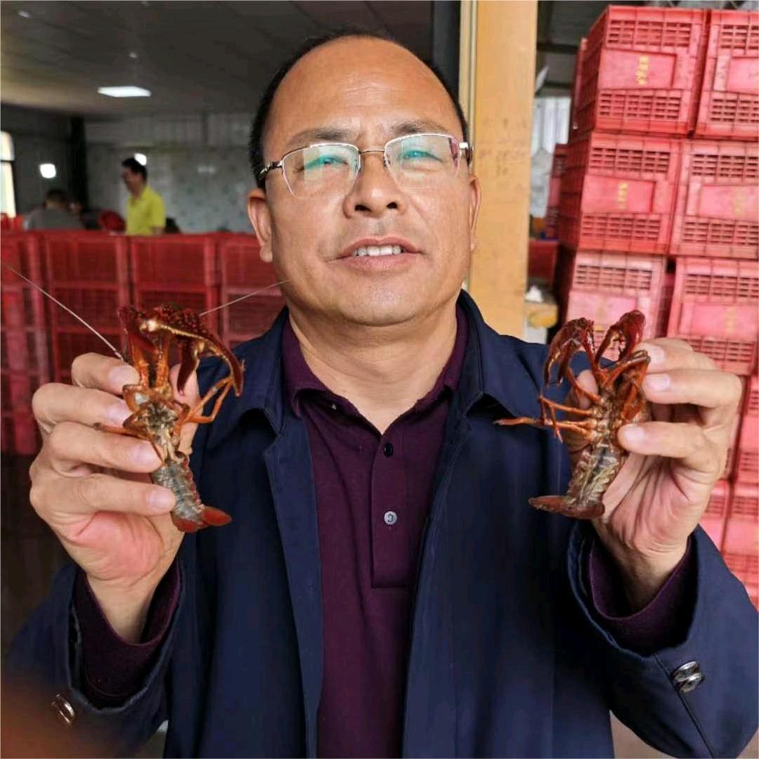 王工谈虾论稻