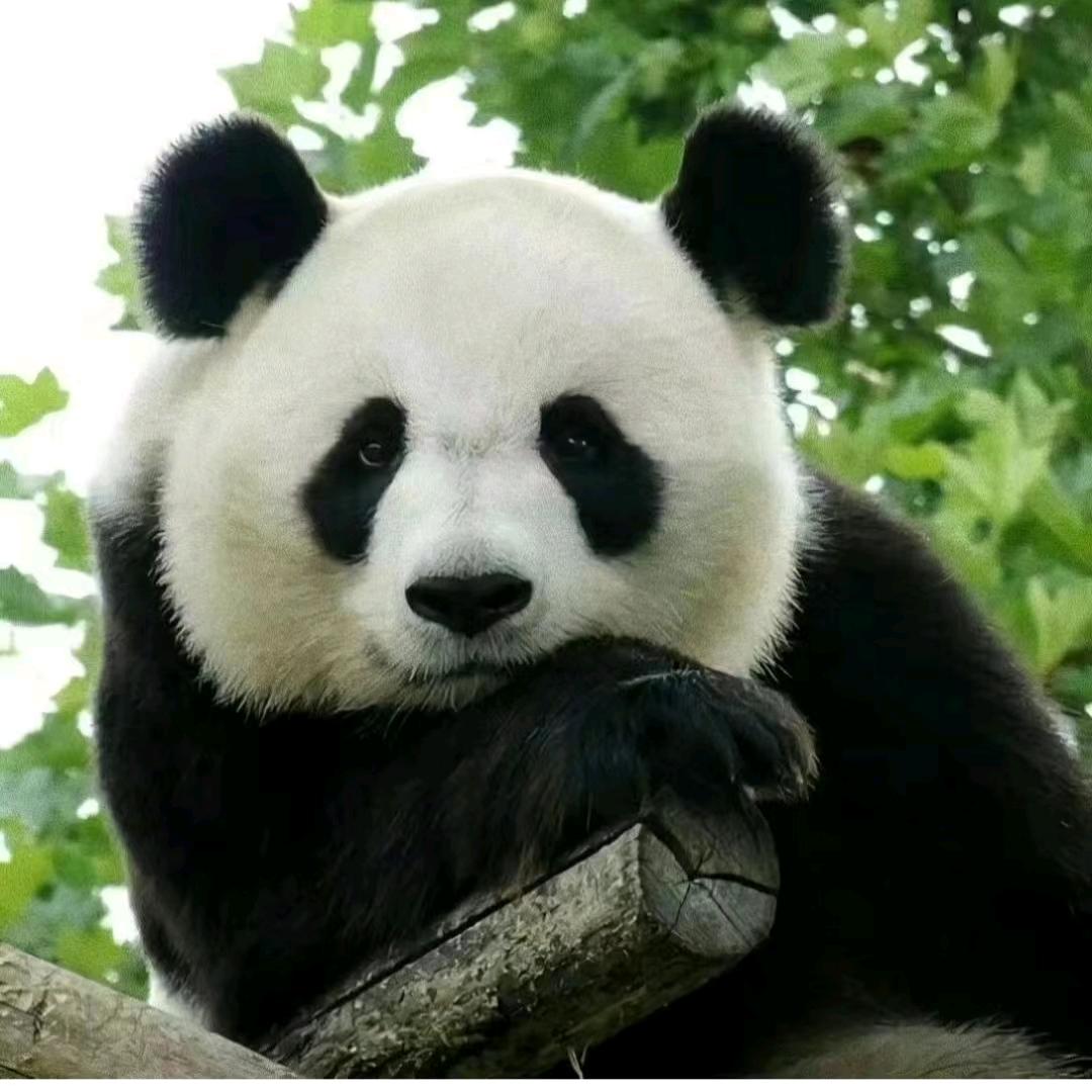 你有我有
