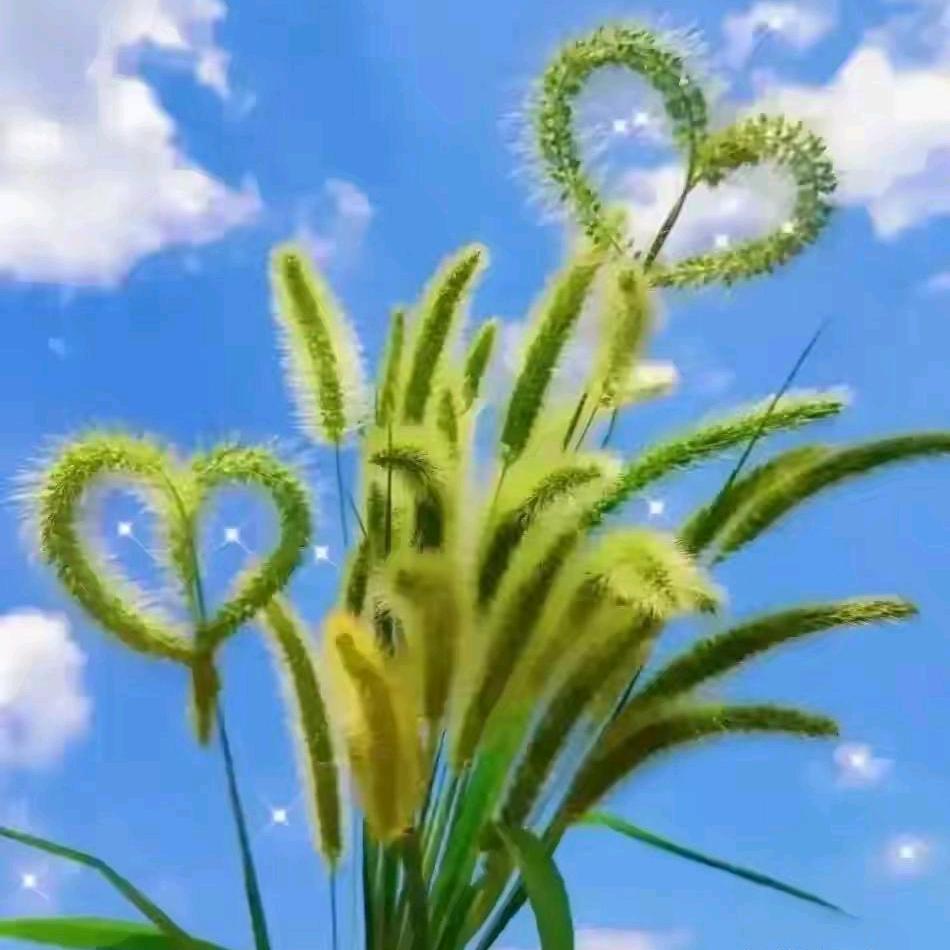 明天更美好