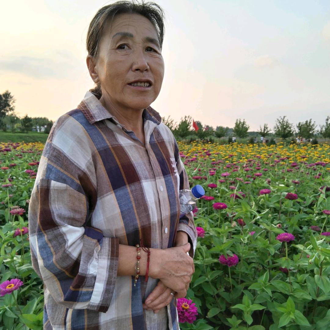 人生如梦👉靠谱老太