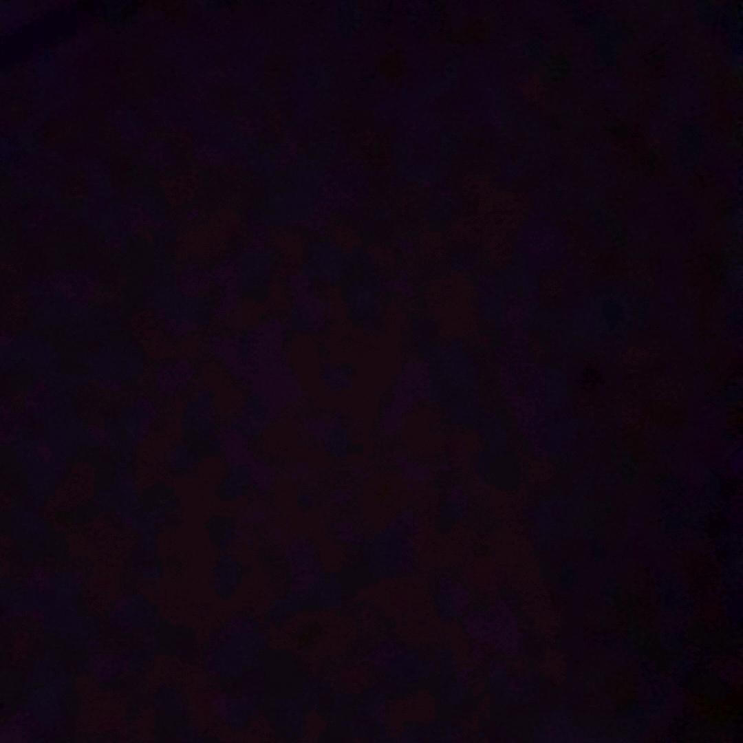 起名中…