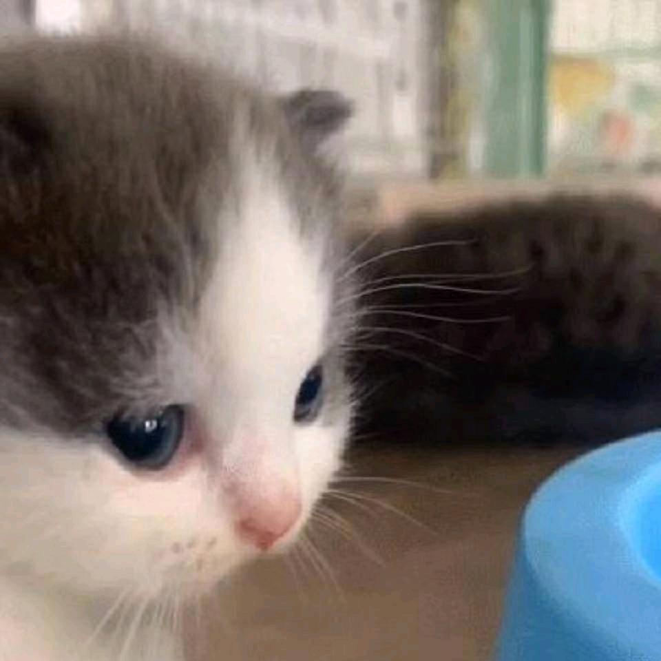 花满楼🌸