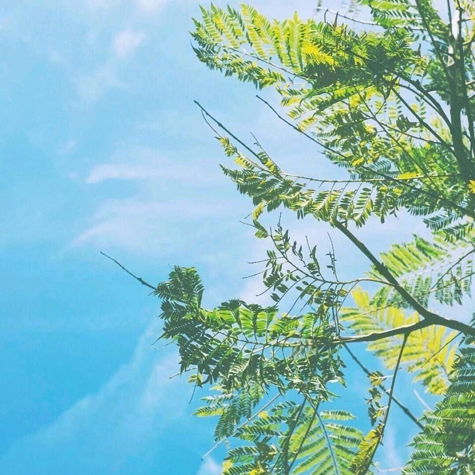 📖星夜书驿21:30